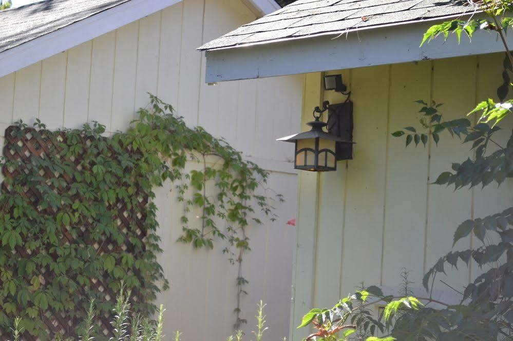 Backyard Garden Oasis Bed & Breakfast Middletown Exterior photo