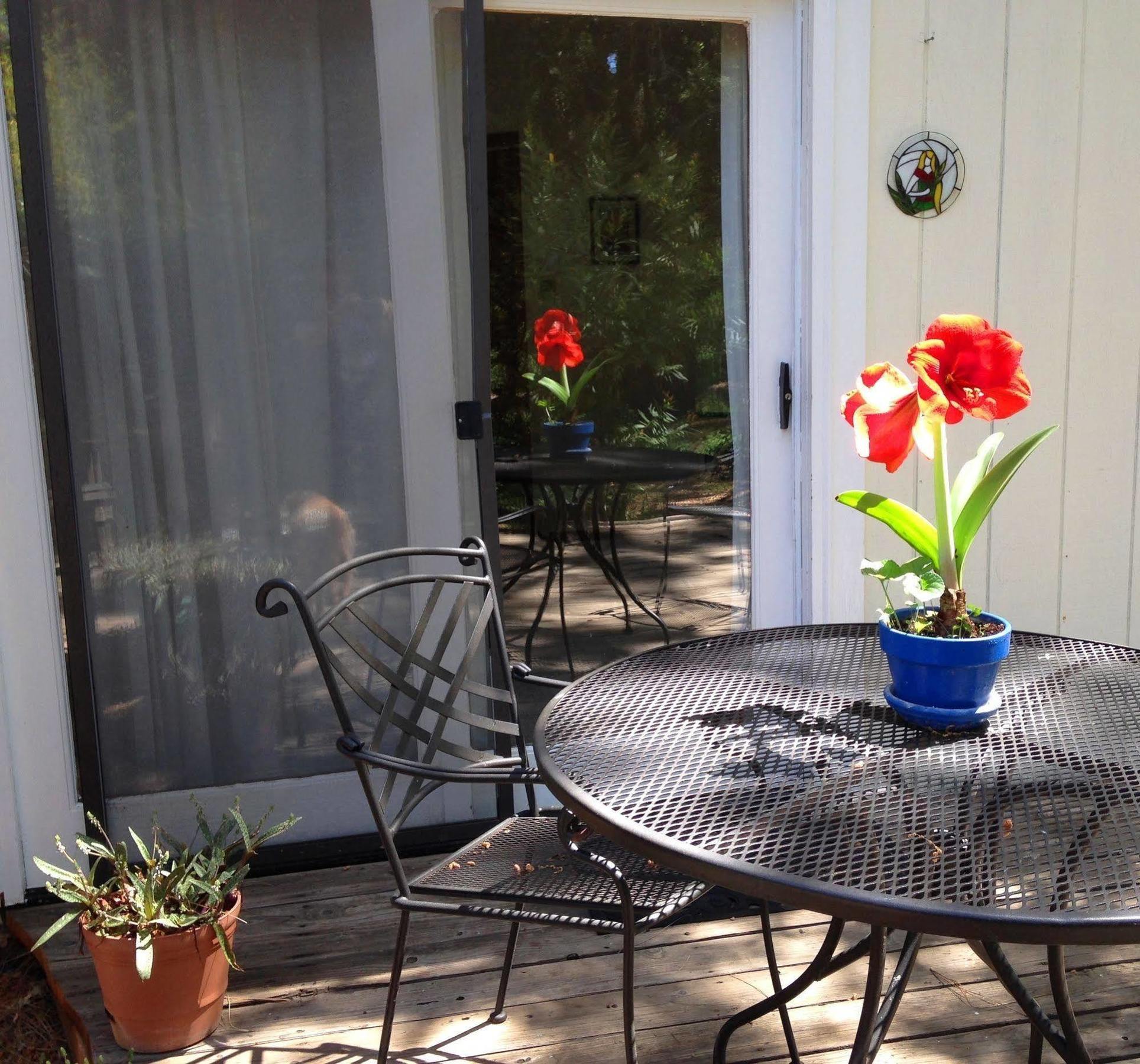 Backyard Garden Oasis Bed & Breakfast Middletown Exterior photo
